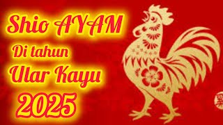 Shio AYAM 🐔 th 2025  Peruntungan di tahun ULAR KAYU  2576 Imlek [upl. by Euqinay]