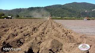 Vineyard Site Prep for Planting Stage One [upl. by Boyse]