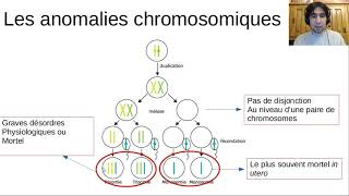 Les anomalies chromosomiques [upl. by Jentoft]