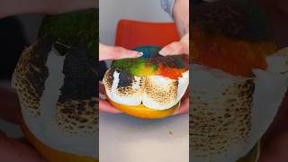 Make some sweet summer memories and cook up your own Rainbow Bagel S’mores 🌈 [upl. by Enovi]