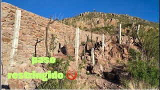 PASO RESTRINGIDO ¿REALMENTE SUCEDIÓ UN ECOSIDIO EN OJOCALIENTEZACATECAS 🚫☘️🌱  coique vlogs [upl. by Yreffej761]