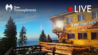 Julius Römer Hütte  Cabana Postavarul  🔴 Poiana Brasov Live Webcam Partia Lupului [upl. by Flanagan]