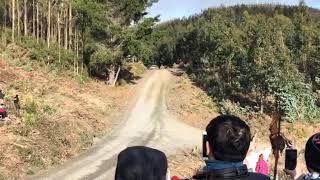 Thierry Neuville Crash in Rally Chile 2019 [upl. by Yehsa688]