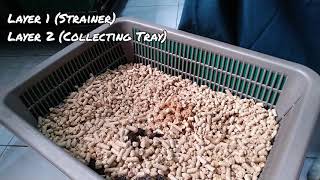 Best method to use pine wood cat litter DIY double layered litter tray [upl. by Ignaz553]