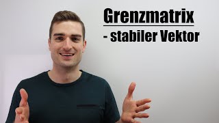 Stochastische Prozesse  Grenzmatrix Stabilitätsvektor  Fixvektor  Fit im MatheAbi [upl. by Richia]