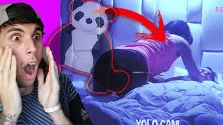 el PANDA de PELUCHE es de BUDÚPELIGRO Mariana POSEIDA [upl. by Nevin]