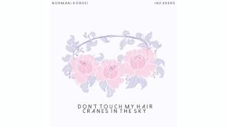 Normani Kordei Mashup Cover  Solange  Dont Touch My Hair x Cranes in the Sky [upl. by Enileuqaj]