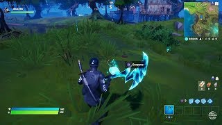 Fortnite  Consume Foraged Items Locations Guide Hunter amp The Hunted Challenges [upl. by Alahcim513]