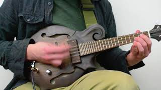 Electric Mandolin Demo  DarkwoodUSA  F Style [upl. by Longfellow]