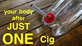 How Smoking Just 1 CIGARETTE Affects Your Lungs ● You Must See This [upl. by Avelin]