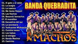 Top 20 de las Mejores Canciones de Banda Machos  Las Mas Quebradita de Banda Machos [upl. by Lewert98]