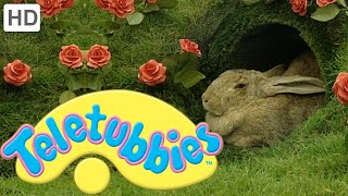 Teletubbies Rabbits  Full Episode [upl. by Disraeli]