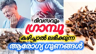 Health Benefits of Eating Cloves Dailyദിവസവും ഗ്രാമ്പൂ കഴിച്ചാൽthasnishealthbites [upl. by Ojahtnamas52]