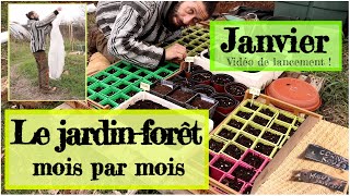 Le jardin forêt mois par mois JANVIER [upl. by Burris416]