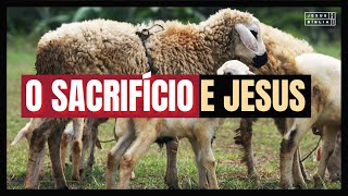 Levítico 1 Estudo O CORDEIRO E O SACRIFÍCIO DE JESUS Bíblia Explicada [upl. by Longawa782]