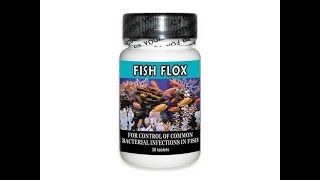 Fish Flox Ciprofloxacin [upl. by Irolam]