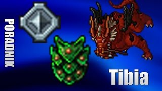 Tibia Poradnik  Nowe bossy thais  Dragon Zyrtarch New Bosses PL [upl. by Eicyal568]