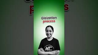 Gleization Process [upl. by Eecal242]