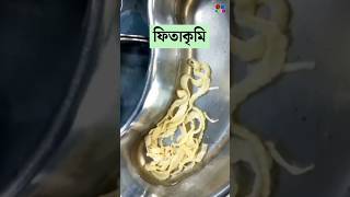 ফিতাকৃমি  Tapeworm  Cestodes Microbiology  Dr Med [upl. by Notnerb]