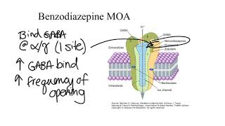 Anxiolytics amp SedativeHypnotics [upl. by Rebeka159]