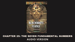 Chapter 25 The Seven Fundamental Numbers  Blackroots Science Vol 1 [upl. by Eselehs]