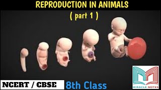 Reproduction in animals 🫃🫄👩‍🍼humans class8science ncertscience cbsesolution trendingvideoviral [upl. by Pavia]