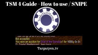 TSM Guide 4  How to Use TSM Sniper and More [upl. by Nylarat868]