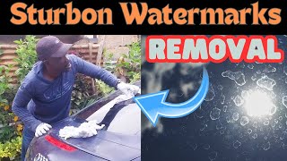 How To Remove Hard Water Spots And Marks On Windshield And Glass [upl. by Dihsar236]