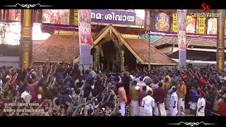 Thirunakkara pooram 2019 Pambadi Entry Mass Full Hd [upl. by Alacim]