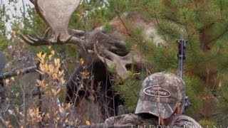 World Record Moose Shot [upl. by Gustin]