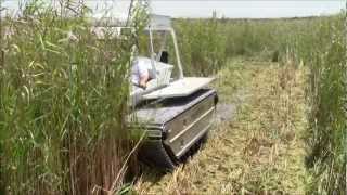 Marsh Master MM2C Cutting Phragmites [upl. by Maiocco490]