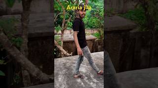 comedy reels Araria jila new song [upl. by Valle]