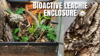 Setting Up A Bioactive Leachianus Gecko Enclosure  Upgrade For Chaos [upl. by Ordisi]