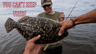 We Kept This Fish That Is Now ILLEGAL Wade Fishing Flounder Outer Banks NC [upl. by Aratak]