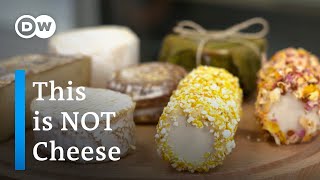 Is Vegan Cheese The Future [upl. by Silda]