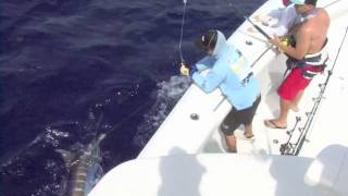 Marlin fishing 42 yellowfin High Standards team [upl. by Norab928]