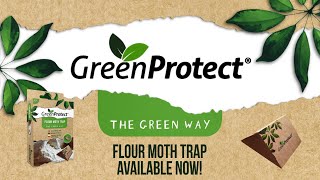 Green Protect Flour Moth Trap [upl. by Ariec]