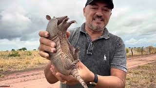 CHARLLES E TIRINGA MOSTRANDO A ROTINA DA FAZENDA DO PIAUÍ PARTE 5  COMÉDIA SELVAGEM [upl. by Sacks219]