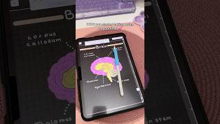 iPad note taking Dark mode 💗 aesthetic digital notes  take notes with me  iPad accessories  study [upl. by Maddis]