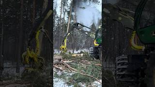 🌲 Logging has Never Been so THRILLING to WATCH harvester1470G logging machine shorts [upl. by Ateiram53]