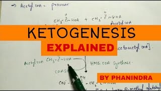 Ketogenesis  Metabolism and degradation  Energetics [upl. by Halpern]