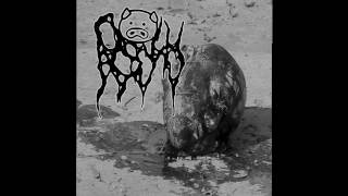 Porky  Chancho Vengador Grindcore 2017 [upl. by Yrrok]