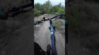 ⛰️🚴🐗 𝐒𝐞 𝐯𝐮𝐞𝐥𝐯𝐚 𝐞𝐧 𝐭𝐫𝐢𝐚𝐥𝐞𝐫𝐚 𝐩𝐚𝐫𝐤 🚀 adrenaline collserola mtb [upl. by Latoniah91]