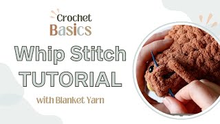 Whip Stitch Tutorial [upl. by Llehcram836]