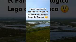 Impresionante la cantidad de agua en el Parque Ecológico Lago de Texcoco naturaleza drone [upl. by Neve]