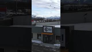 Discover ESI Alaska’s New Anchorage Showroom shorts heavyequipment customerservice [upl. by Llenor576]