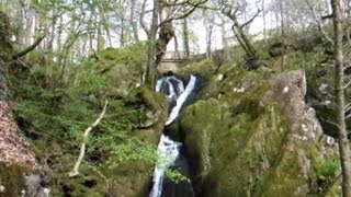 Lake District Walks Stock Ghyll Falls Ambleside [upl. by Petrie]