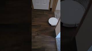 Robot Vaccume can go floor amp carpet 2024 vlog [upl. by Kee817]