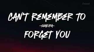 CAN’T REMEMBER TO FORGET YOU by Shakira lyrics [upl. by Iknarf]