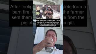 After Firefighters Saved Piglets From A Barn Fire 6 Months Later They Were Sent Sausages grandpa [upl. by Winchester]